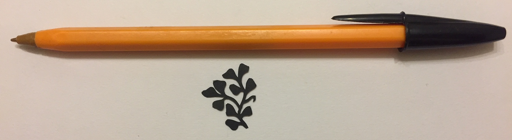 papercut 049 with pen for scale