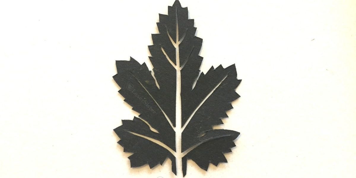papercut 698 leaf - horizontal - LaserSister - KayVincent