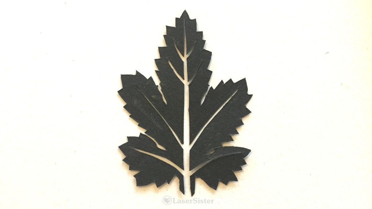 papercut 698 leaf - horizontal - LaserSister - KayVincent